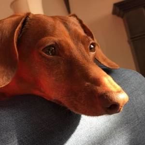 Meet your Posher, Jill